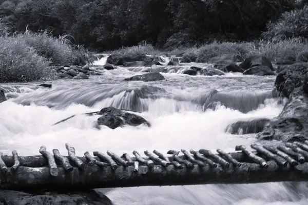 Bicentenaire de la photographie - Exposition de photographies argentiques