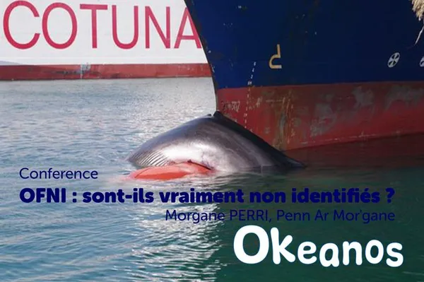Conférence « OFNI : sont-ils vraiment non identifiés ? »