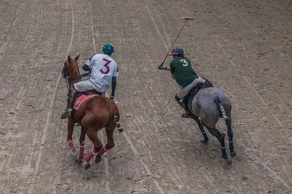 Démonstration de polo au Pôle International du Cheval Longines - Deauville