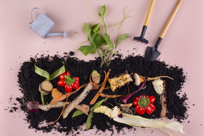 Formation aménagements : Et si mes déchets végétaux rendaient mon jardin plus beau ?