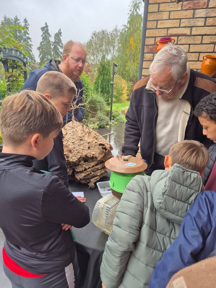 Exposition : la vie des abeilles