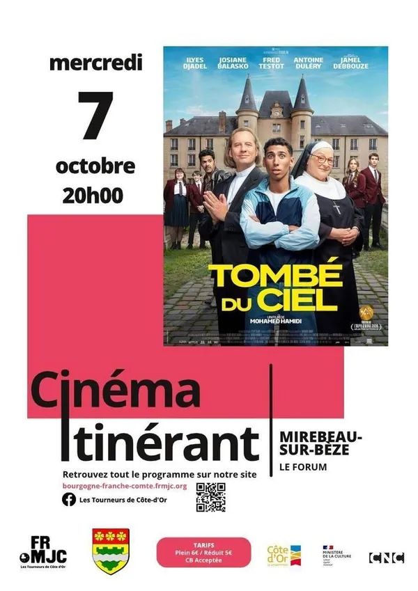 Cinéma - Tombé du ciel