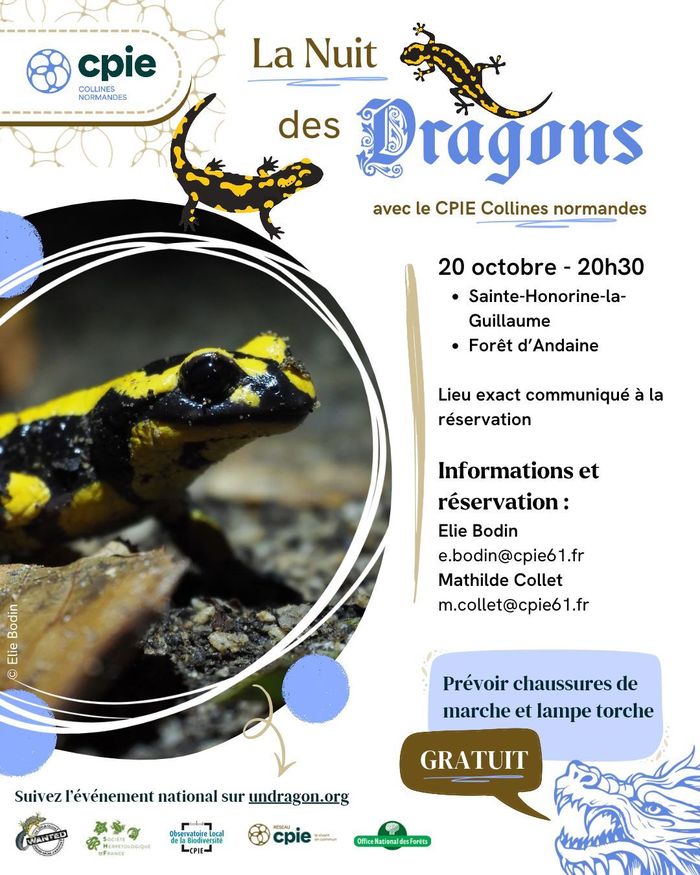 La nuit des dragons
