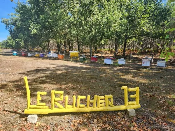 À la découverte du Rucher 13