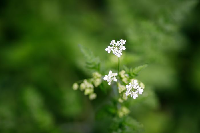 Découverte des stratégies adoptées par la faune et de la flore de la Réserve Ecologique des Barails pour passer le cap de l'hiver