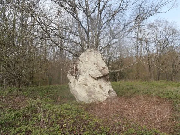 Randonnée (et visite guidée) autour du menhir des Pommesoies