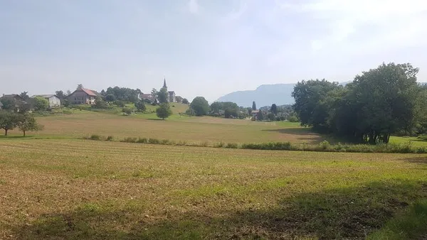 Balade à la découverte des plantes sauvages et autres petites merveilles du vivant à Chavanod (2h)