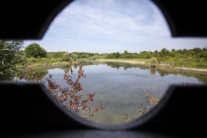 "Les secrets de la Haute ile" : Découverte du parc numérique du parc