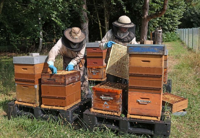 La Miellerie Frères Berville à la Foire d'automne d'Estrées-Saint-Denis !