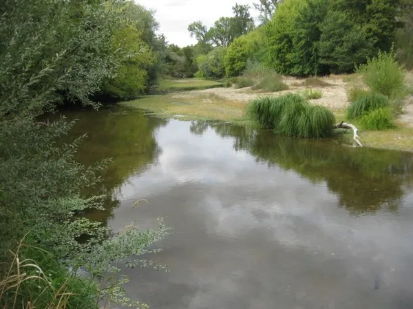 Découverte de la Réserve naturelle du val de Loire