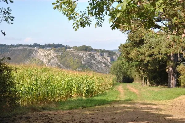 Visite de la Tour Grégoire et du Mont d'Haurs