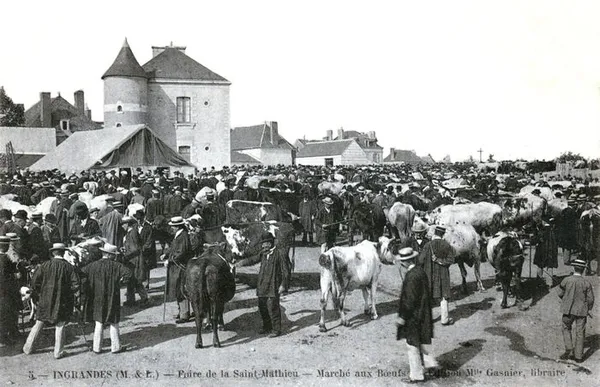Exposition « Les foires et marchés d’Ingrandes, 800 ans d’histoire »