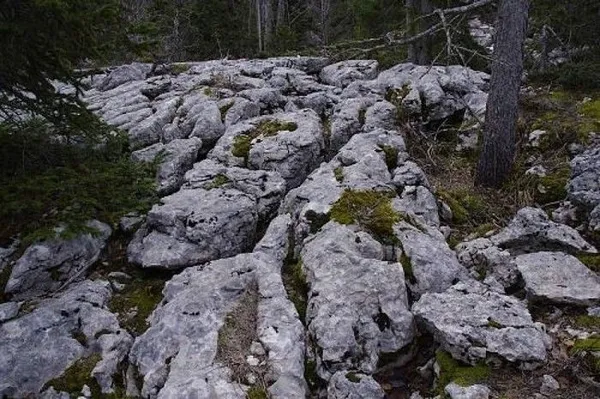Explorateurs du Vercors : une aventure géologique