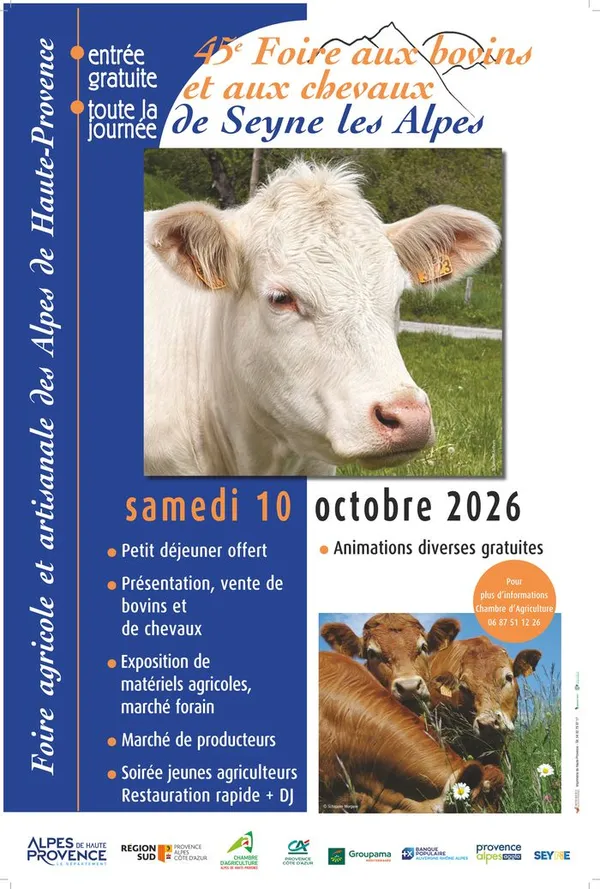 04 - 45e foire aux bovins et aux chevaux de Seyne-les-Alpes