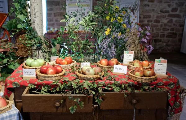 Au nom de la pomme