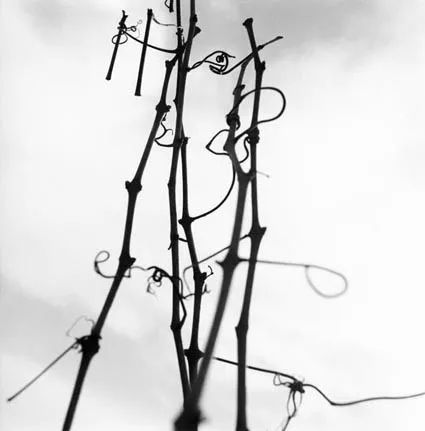 Exposition Ruralité(s) : la collection photographique départementale