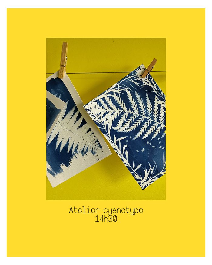 Atelier cyanotype