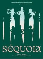 Séquoia