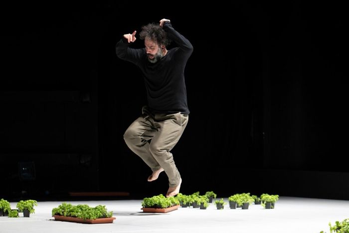 « Danser c’est pas pour nous » d’« Danser c’est pas pour nous » d’Omar Rajeh / Maqamat / Maqamat