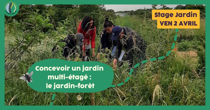 Stage 1 jour : Concevoir un jardin multi-étagé : le jardin-forêt