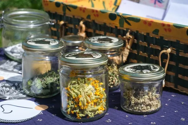 Atelier « Plantes médicinales » animé par Pauline Lasson (Les Chuchotantes)