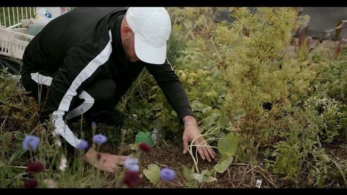 Projection "Jardins intérieurs" d'Olivier Gil