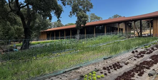 Nova Via Architetturali - Restitution à Porto-Vecchio | Marché alimentaire U Ponti