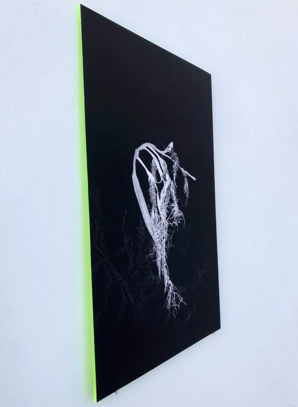 Imaginaires argentiques
