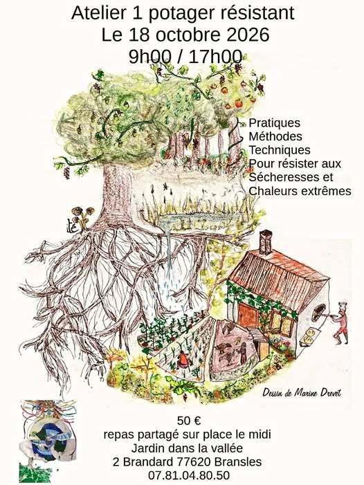 Dimanche 18 octobre Stage un potager résistant