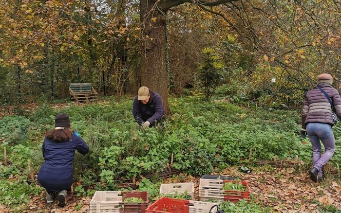 Chantier permaculture