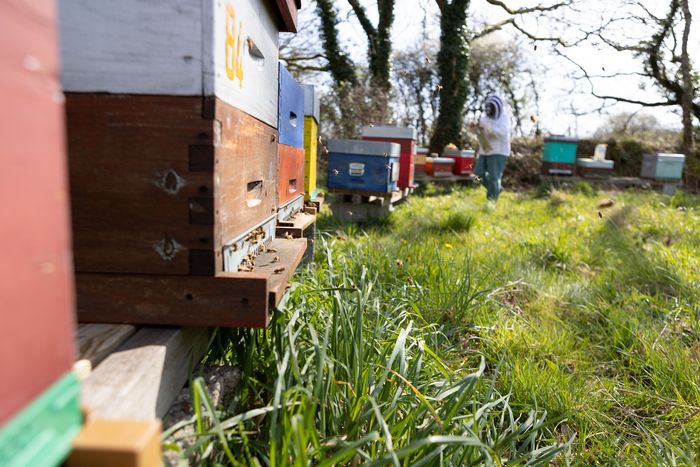 Le GAEC des Happy Cultrices des Monts d’Arrée accueille des étudiants du lycée agricole de Suscinio.