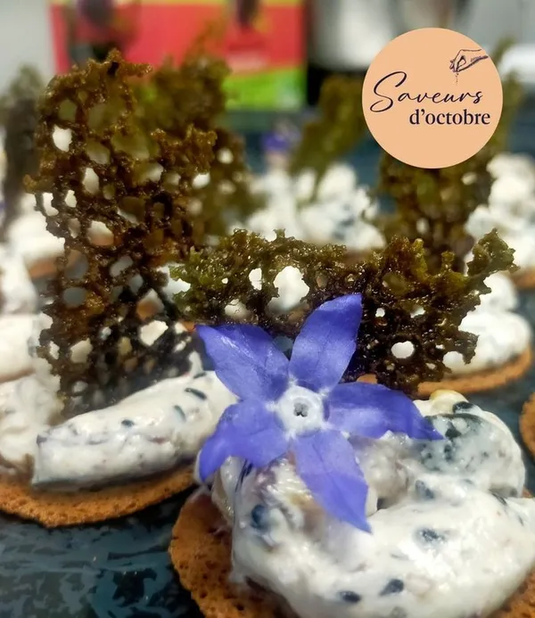 Découverte des algues et atelier cuisine - Saveurs d'octobre