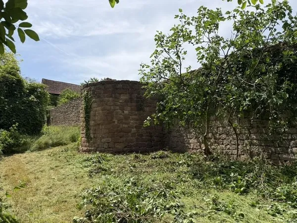 Journées du patrimoine 2026 à Wangen
" Patrimoine en péril : raviver, résister, réinventer "