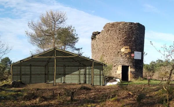 2nd chantier de couverture en genêt de l'abri provisoire.