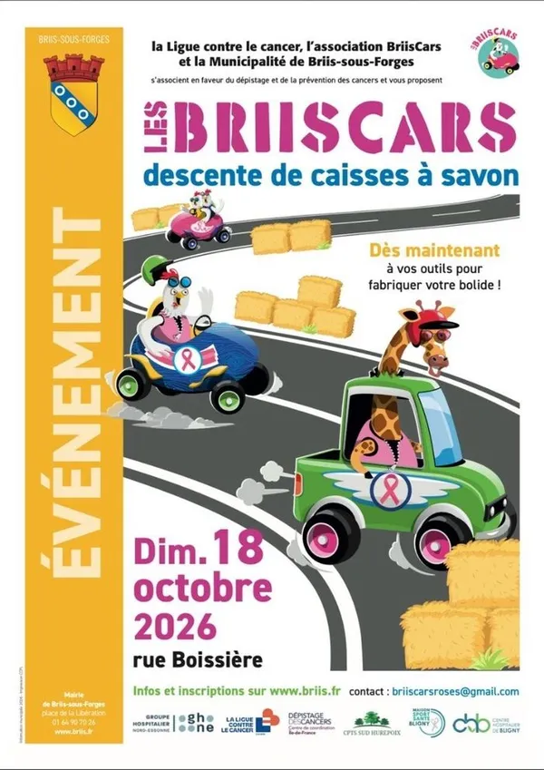 BriisCars