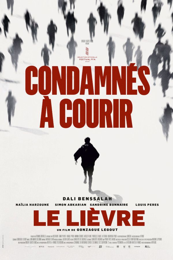 Le Lièvre