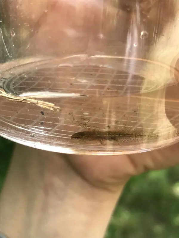 L’eau, disent-ils, c’est la vie !