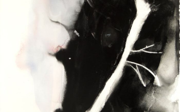 Patricia Erbelding - Endemic