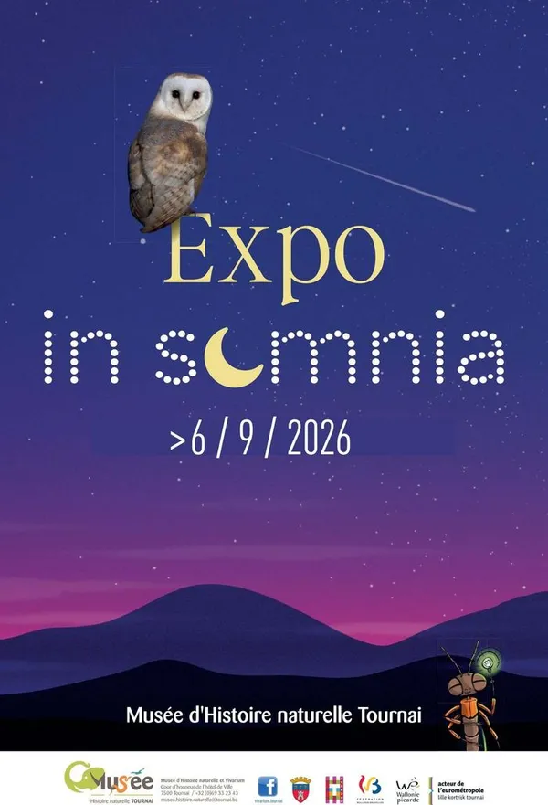 Insomnia