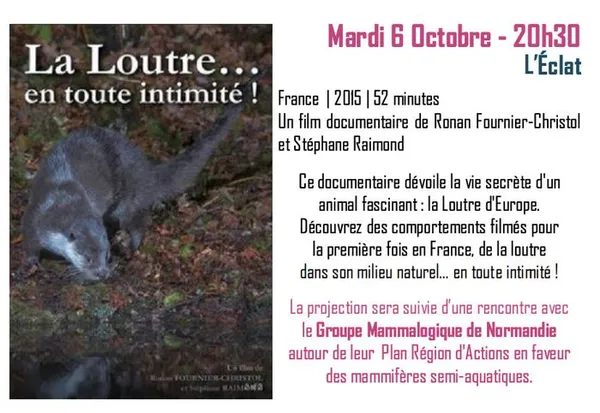 La Loutre en toute intimité !