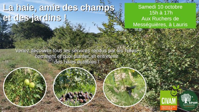 La haie, amie des champs et des jardins