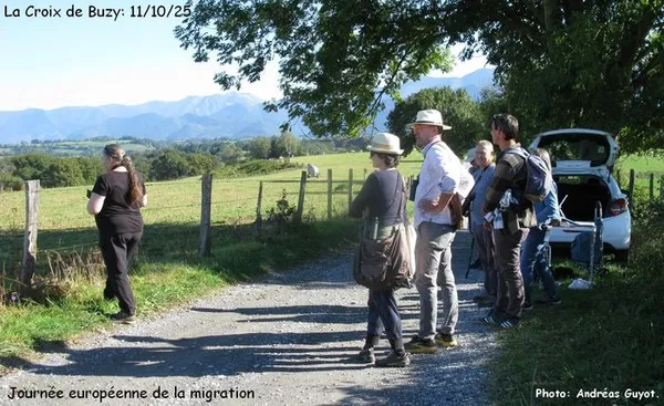 Découvrir la migration