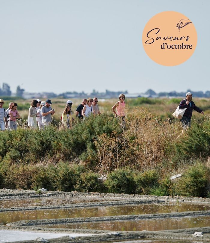 Fleur de sel, patrimoine des marais - Saveurs d'octobre
