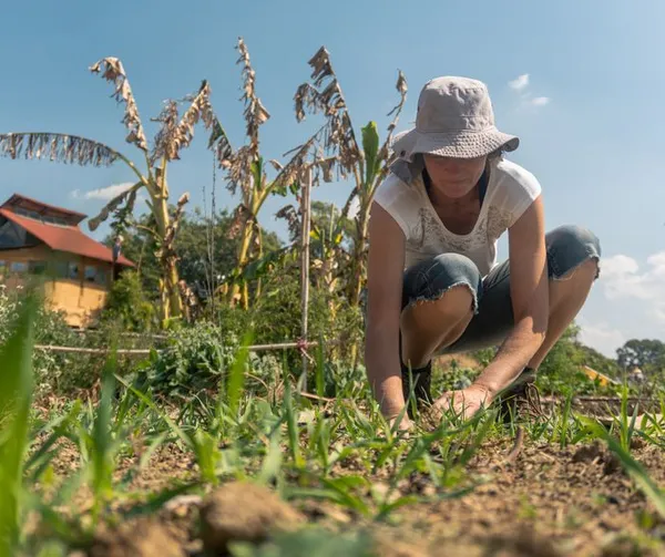 Les interactions avec le sauvage au jardin