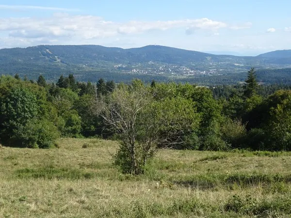 Visite accompagnée du site castral de Corcelles