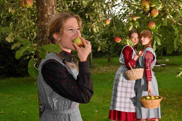 Fête des saveurs et de la pomme