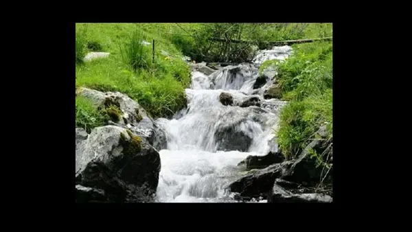 Soutenances M2 Sciences de l'Eau