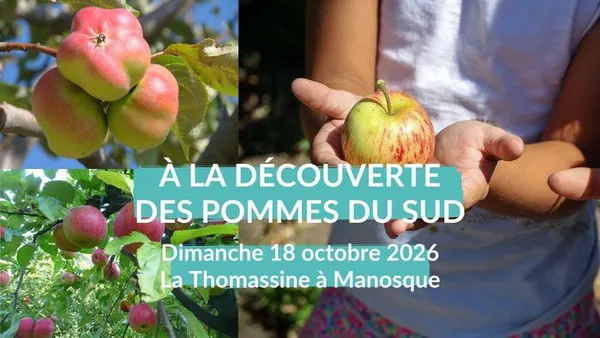 Visites guidées « À la découverte des pommes du Sud »