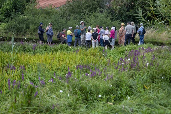 VISITE DU JARDIN DES PLANTES MEDICINALES "ANDRE CAUDRON"