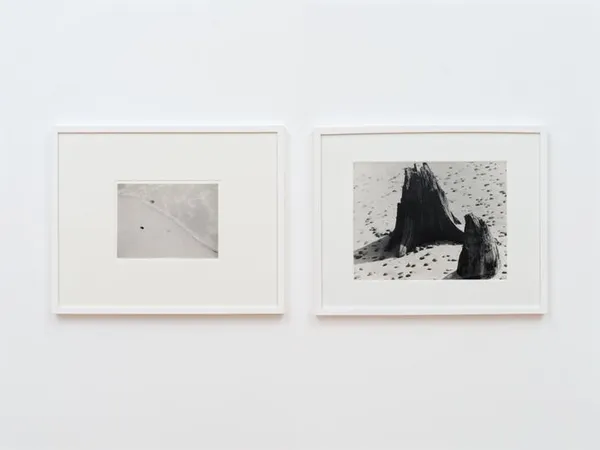 Visite accompagnée :
Le musée de Rochechouart : une collection qui questionne la photographie
